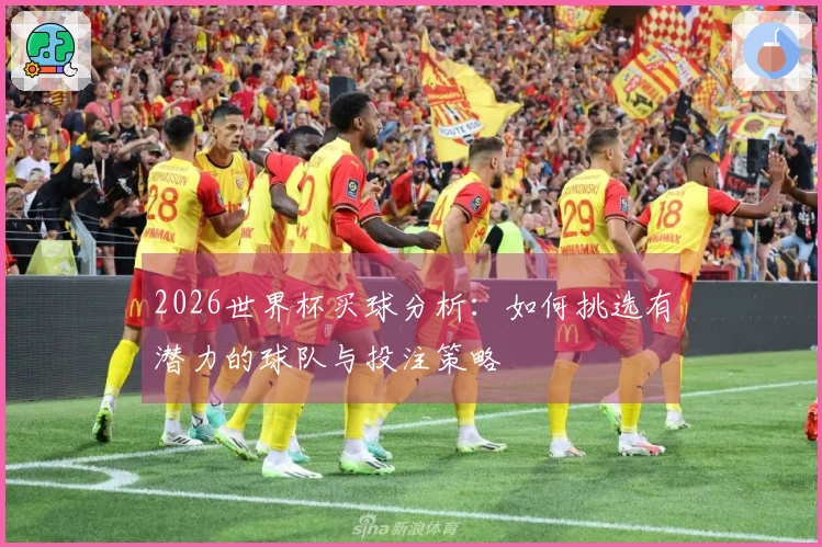 2026世界杯买球分析：如何挑选有潜力的球队与投注策略