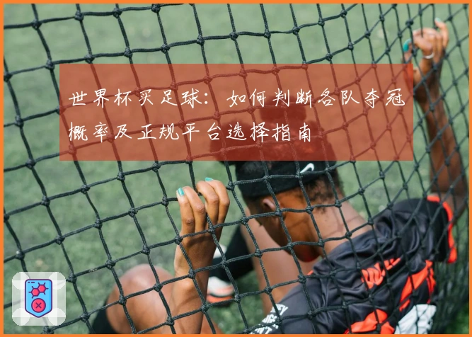 世界杯买足球：如何判断各队夺冠概率及正规平台选择指南