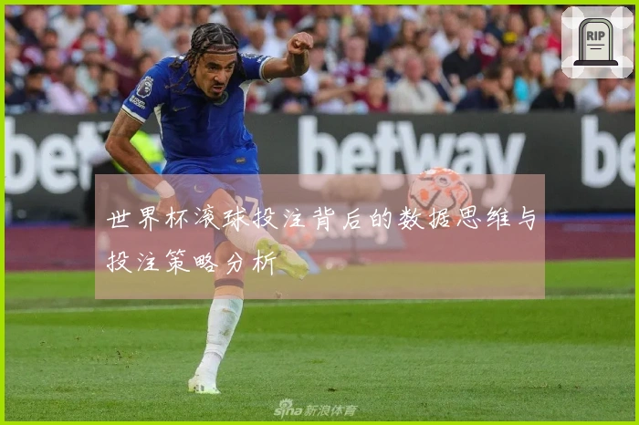 世界杯滚球投注背后的数据思维与投注策略分析