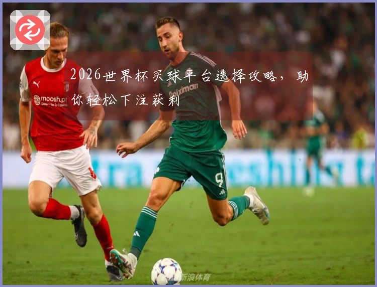 2026世界杯买球平台选择攻略，助你轻松下注获利
